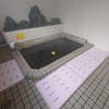 しろねの湯 関根旅館＊新潟県新潟市南区（旧白根市）白根温泉（2025/3/30廃業）