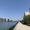 隅田川テラス8キロ：気持ちの良いヒルラン・・・無理せず走る