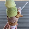 【加勢牧場わしま本店】貴重なガンジー牛乳を使ったアイスやソフトクリームが人気！