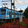 近江鉄道 2024　10/12-13