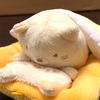 なんだか眠いんです…(｡ρω-｡)