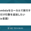 Lambdaをローカルで実行する時だけ引数を追加したい(Go言語)