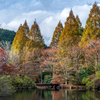 紫水の池　秋色