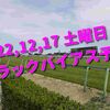 2022,12,17 土曜日 トラックバイアス予想 (中山競馬場、阪神競馬場、中京競馬場)