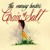 Grain of Salt / The Morning Benders 和訳