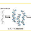 塩も色々、アルコールも色々