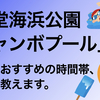 「辻堂海浜公園ジャンボプール」おすすめの市民プール、駐車場やおすすめの時間帯など教えます！