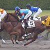 １０日に帰厩。来週の中京・ダ１８００ｍ（牝馬）に引き続き鮫島駿Ｊとのコンビで臨みます。☆エバーフレッシュ