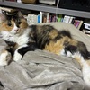 色々