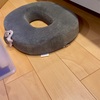穏やかな月曜日