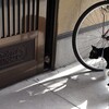 子猫、車庫を占拠す