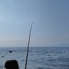 【釣り】今年初のちょい投げ釣りに行ってきた