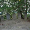 津軽地方の庚申塔 #147（南津軽郡田舎館村大袋・路傍）
