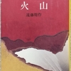 遠藤「火山」読了