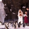 南極探検家カップル、ペンギンの前でロマンチックな結婚式 