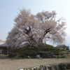 最ミ塚古墳（最後塚）  長野県飯田市座光寺　古墳と桜の飯田紀行（27）