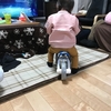 子供に自転車っぽいものを与えてみた！！