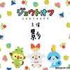 募集告知:第3回ポケットモンスターソード・シールド ジョウトオフ