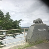 沖縄🥥西表島　やっやっヤマネコとご対面の巻