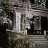 桜が織りなす別世界