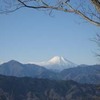 勝俣部長の「高尾登山と健康体質作り」４４５････年がら年中「健康体」