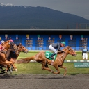 実践型競馬の投資日記〜！！