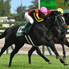 競馬初心者必見☆馬券予想🔥〜新潟2歳S〜今年も大物誕生なるか！？