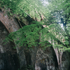 京都スナップ