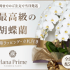 Hana Prime（ハナプライム）