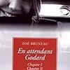 ゴダールの『さらば、愛の言葉よ』覚書（２）　ゾエ・ブリュノーの撮影日誌