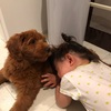 娘と犬