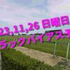 2023,11,26 日曜日 トラックバイアス予想 (東京競馬場、京都競馬場)