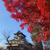愛知県旅行・犬山城や猿田彦神社を訪問