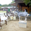 那須　千本松牧場