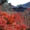 秋旅.京都_東福寺