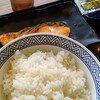 291【朝ごはんと夜ブログ】吉野家を毎日喰らいます