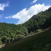 飛鳥村・黒米収穫♬