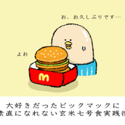 イラストで学ぶ健康食品 ねこやまローカボ日誌