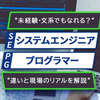 システムエンジニア（SE）とプログラマー（PG）の違いとは？未経験・文系でもなれる？仕事内容と現場のリアルを解説