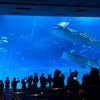 【旅行記】卒業前の沖縄本島一人旅　2日目