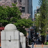 劇場のある街角⑦『千代橋と都営大江戸線 築地市場駅』