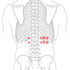 「ツボの紹介　第5回　「脾兪」「胃兪」」を公開いたしました