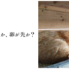 ニワトリが先か、卵が先か？