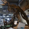 京都市青少年科学センターに行きました