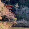 （京都木津川ぶらぶら）浄瑠璃寺～岩船寺