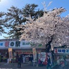 桜満開@芦野公園