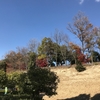 冬空
