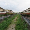 石神井川_東伏見神社付近（西東京市）