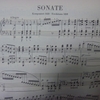 シューベルト　ピアノ・ソナタ 第19番 ハ短調/Schubert Sonate fur Klavier Nr.19 c-moll D.958