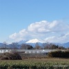 今日の浅間山と今日のメイちゃん